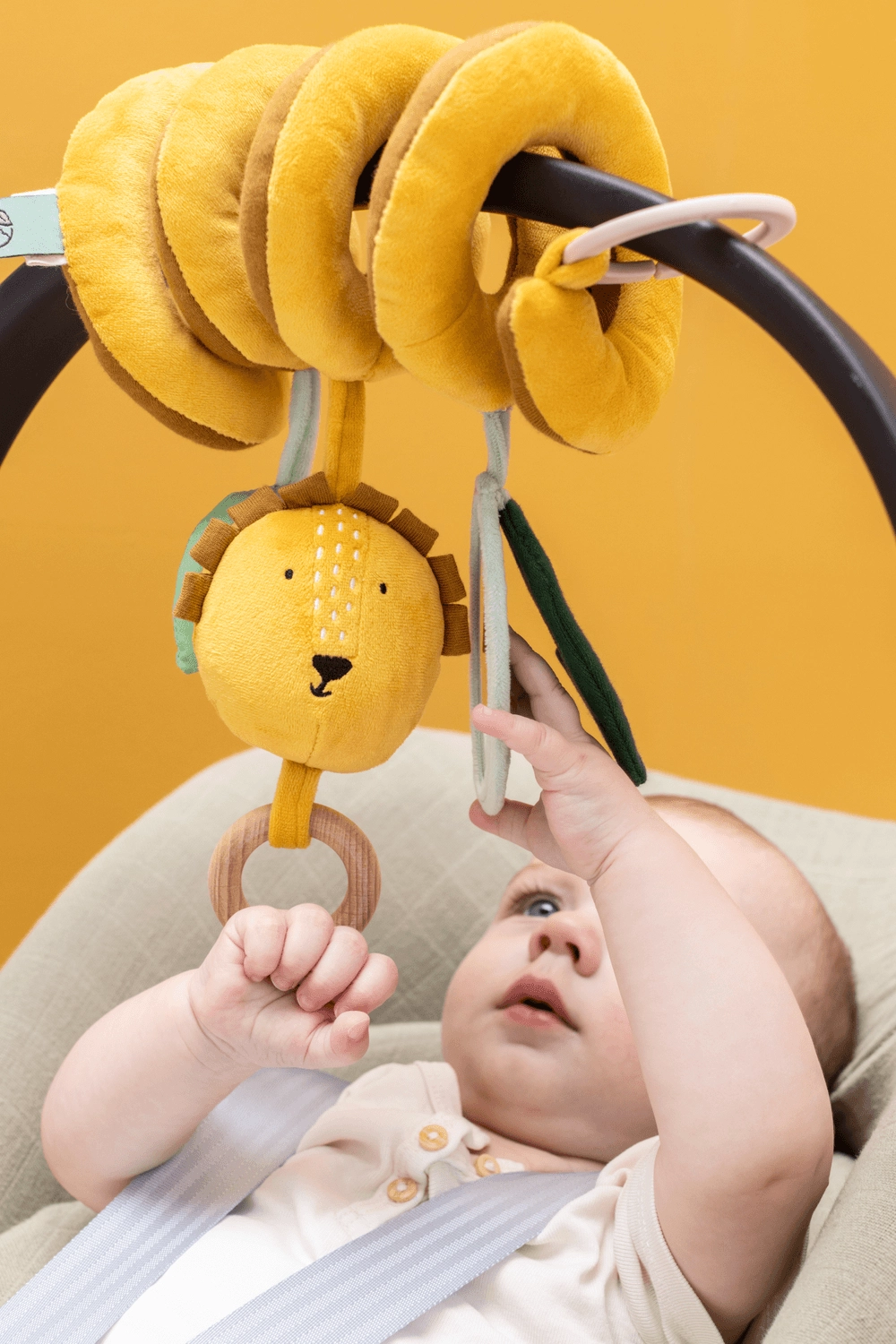 Activity Spiral - 3 months non-toxic materials Mr. Lion