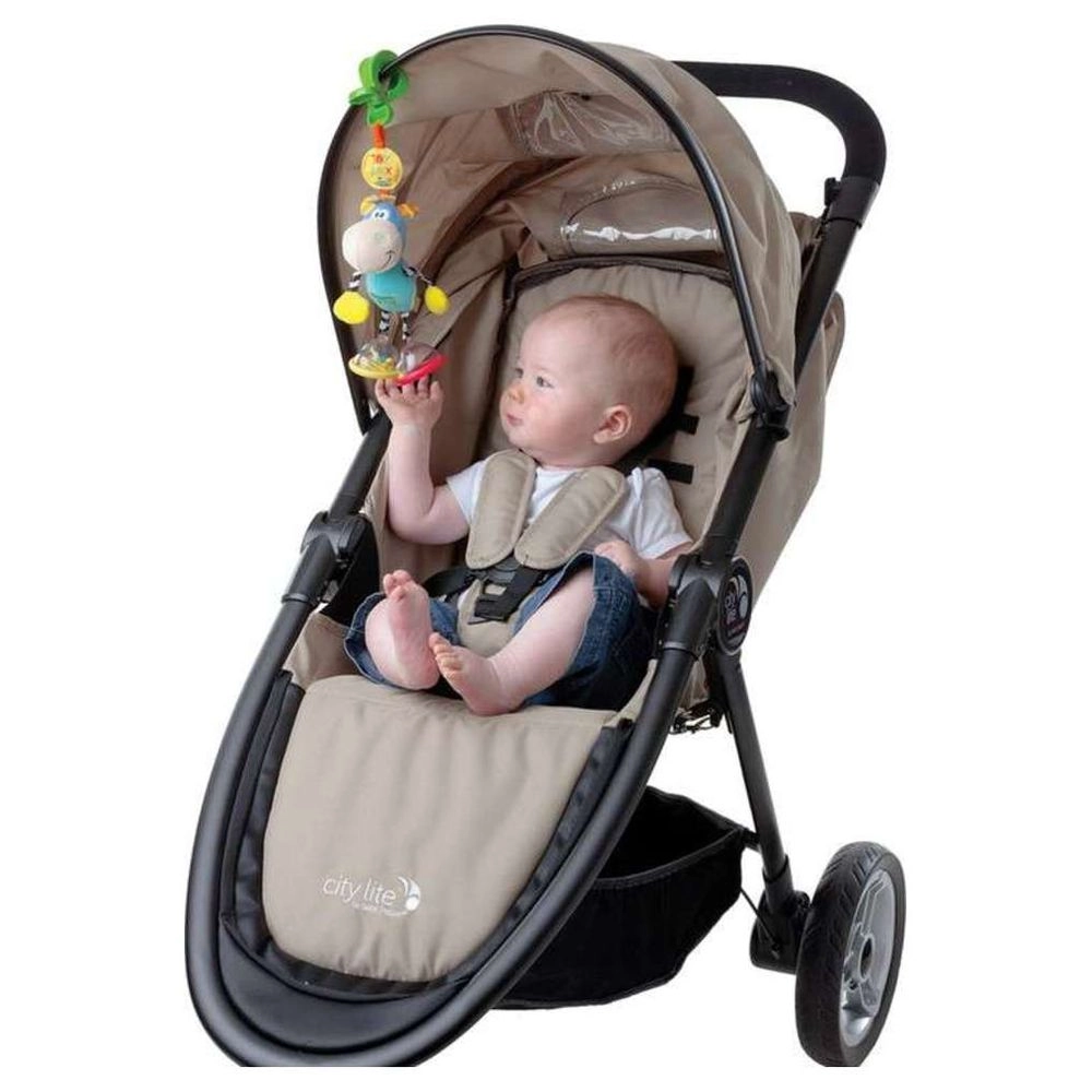 Dingly Dangly Clip Clop - Suitable for Newborn up to 24 months