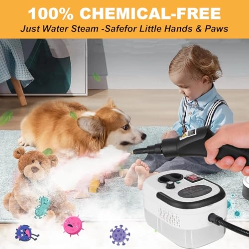 Hand Held Steam Cleaner