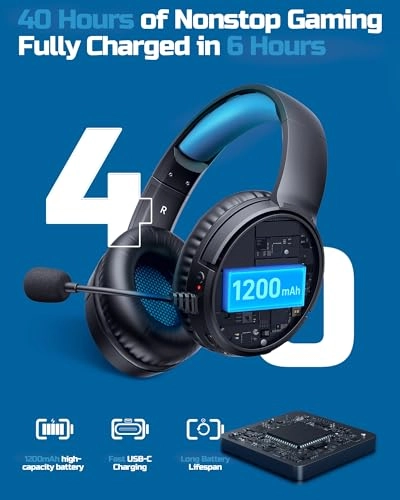 BW02-BT Wireless Headset