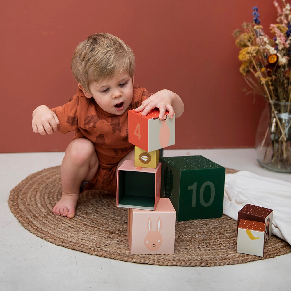 Stacking Blocks - Suitable for 12 months and above 10 pcs
