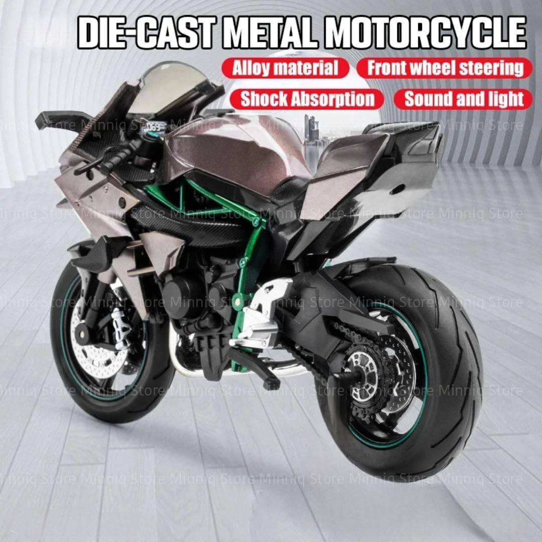 R1250GS - 1:12 1