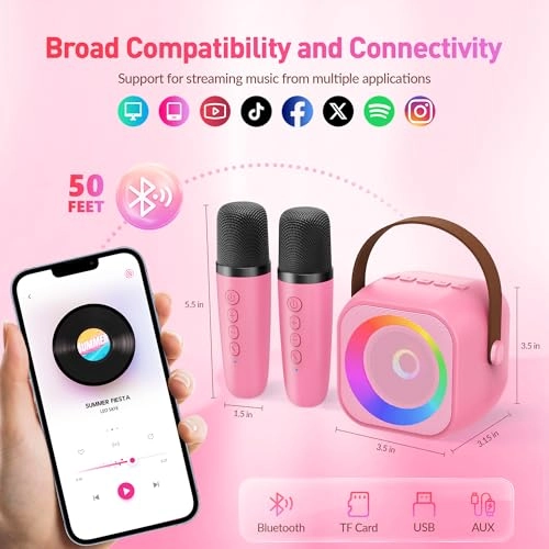 K29-L - 2 Wireless Microphones