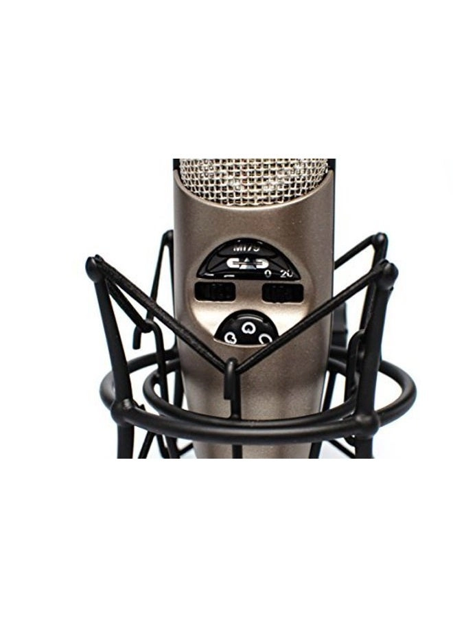 M179 XLR Microphone