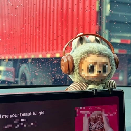 Car Central Control Screen Hook - Model 3 Model Y