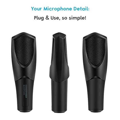 BM 800 + V8XPRO + Tripod Wireless Microphone