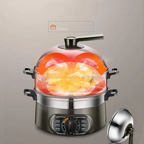 Electric Steamer - 3