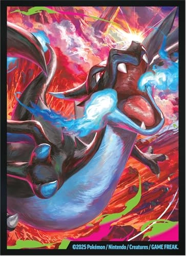 Mega Charizard X-ex - Two Holographic Promo Cards 18 Pokmon TCG booster packs Premium Accessories