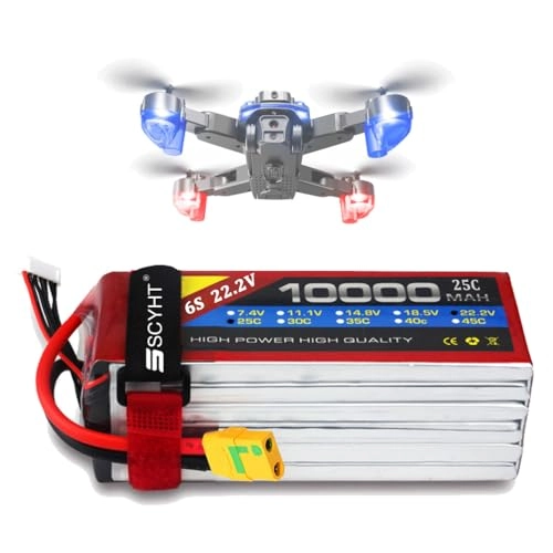 Lipo Battery - 10000mAh