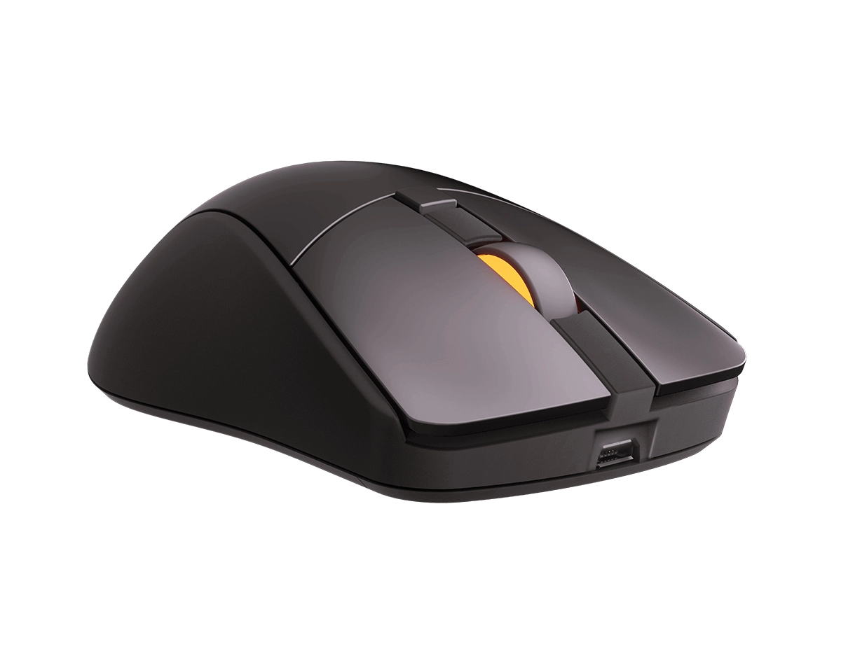Surpassion RX - Wireless