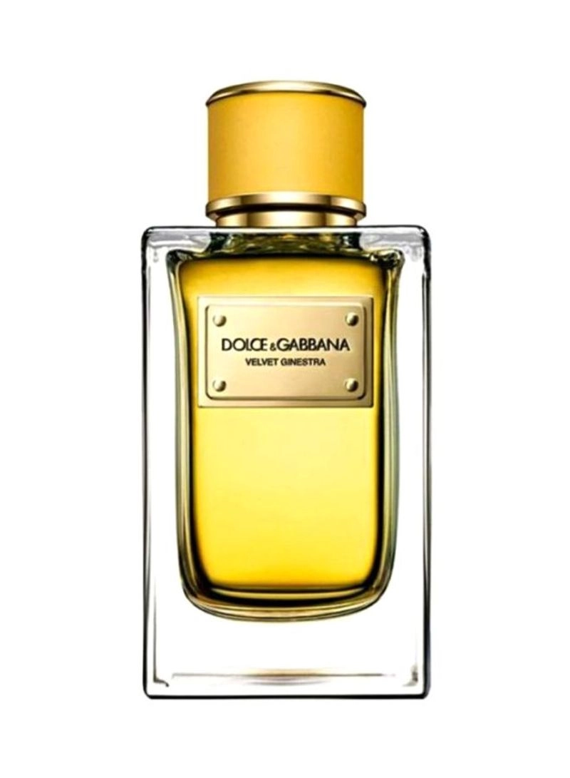 Velvet Ginestra Eau de Parfum 150 ml
