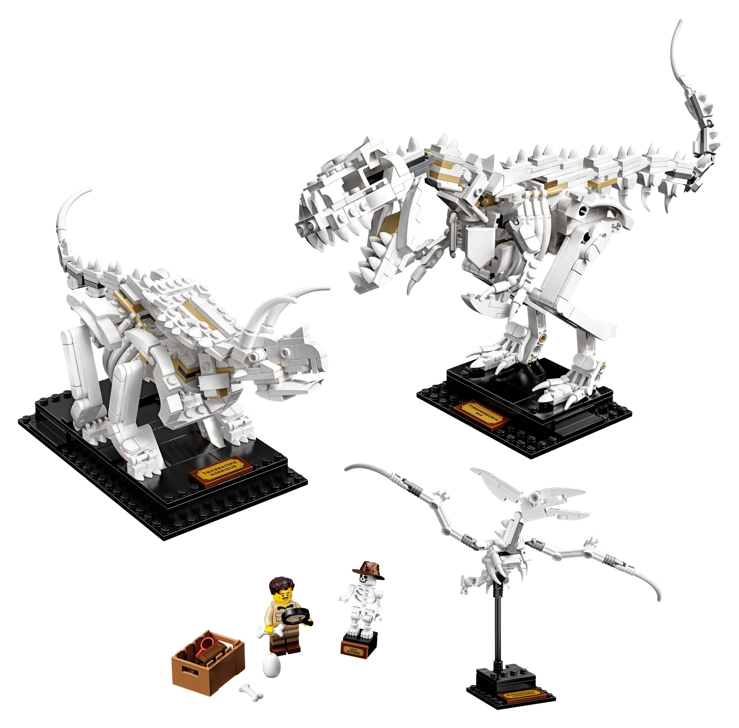 LEGO Ideas Dinosaur Fossils (21320) - 1:32 scale