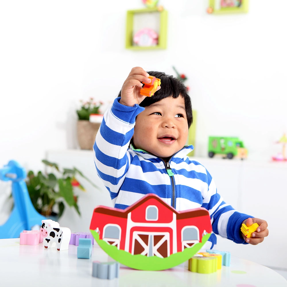 Farm Balancing Game - 36 months+ 12 pieces