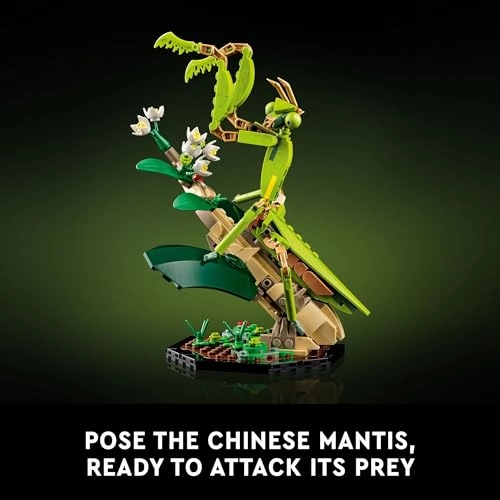 The Insect Collection (21342)