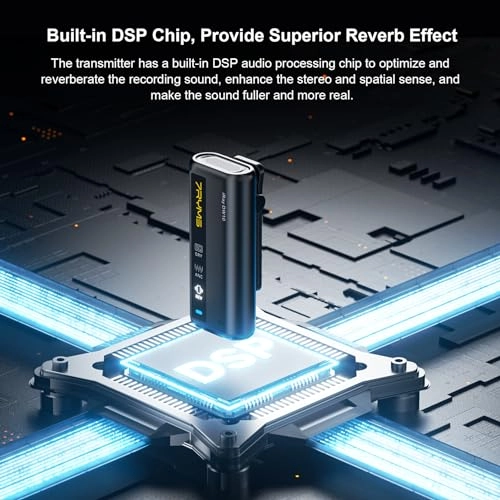 iRay DW10 - 1 Receiver 1 Microphone