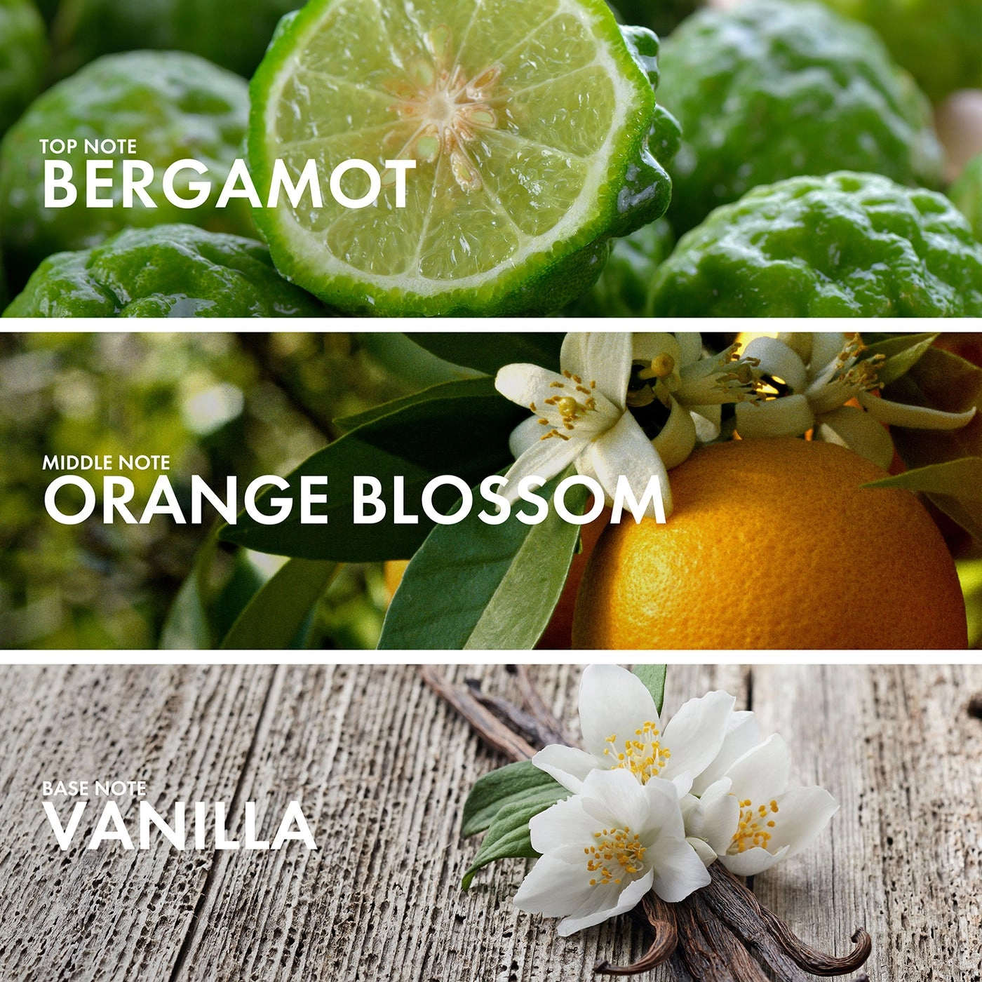 Neroli Marshmallow - Eau de Parfum 50ml