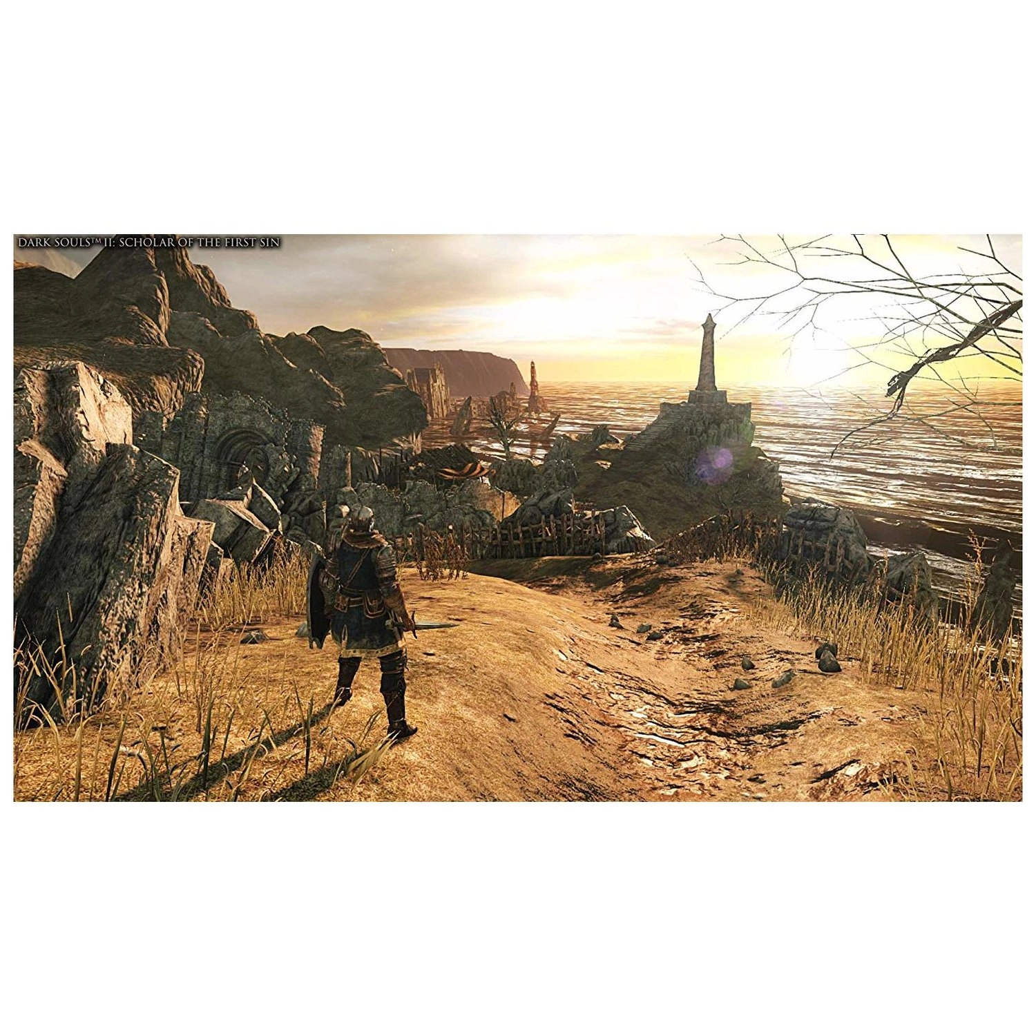 Dark Souls Trilogy - PlayStation 4