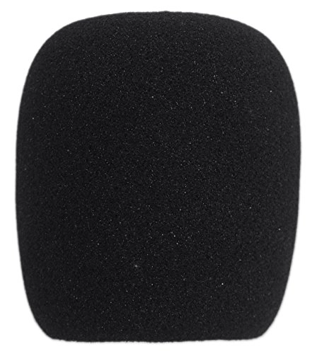 RCM01 + DMS40 XLR Microphone