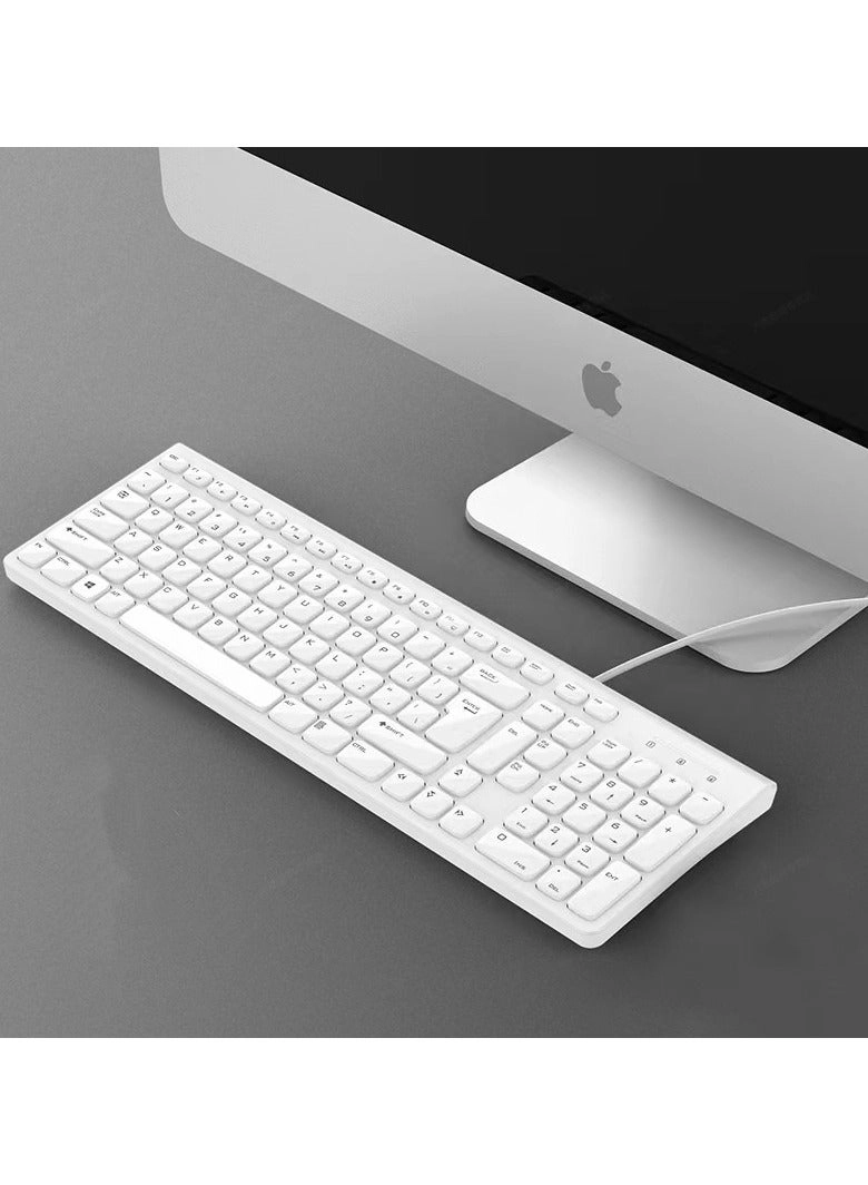 Rainbow Light-104 - Wired