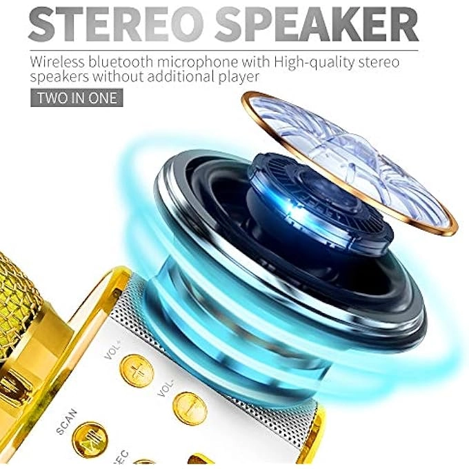 WIRELESS MICROPHONE - 4-12 years+