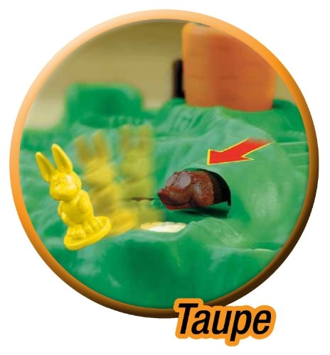 Croque Carrot (French)