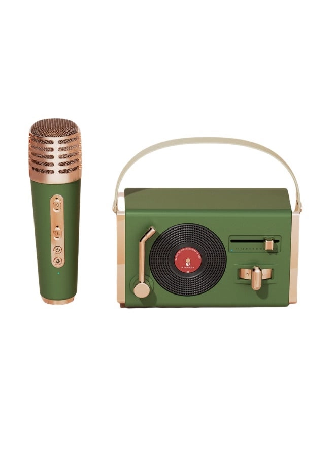 LED Bluetooth Karaoke Speaker - Dual Microphones