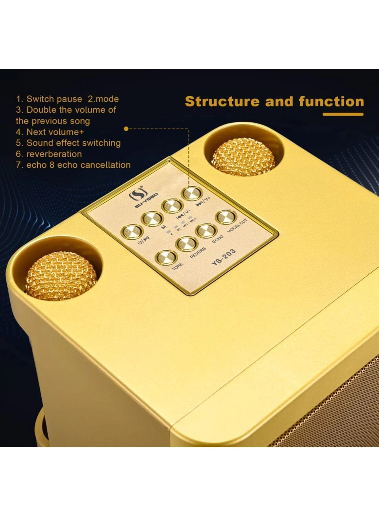 Portable Wireless Karaoke Microphone - two Y21 microphones