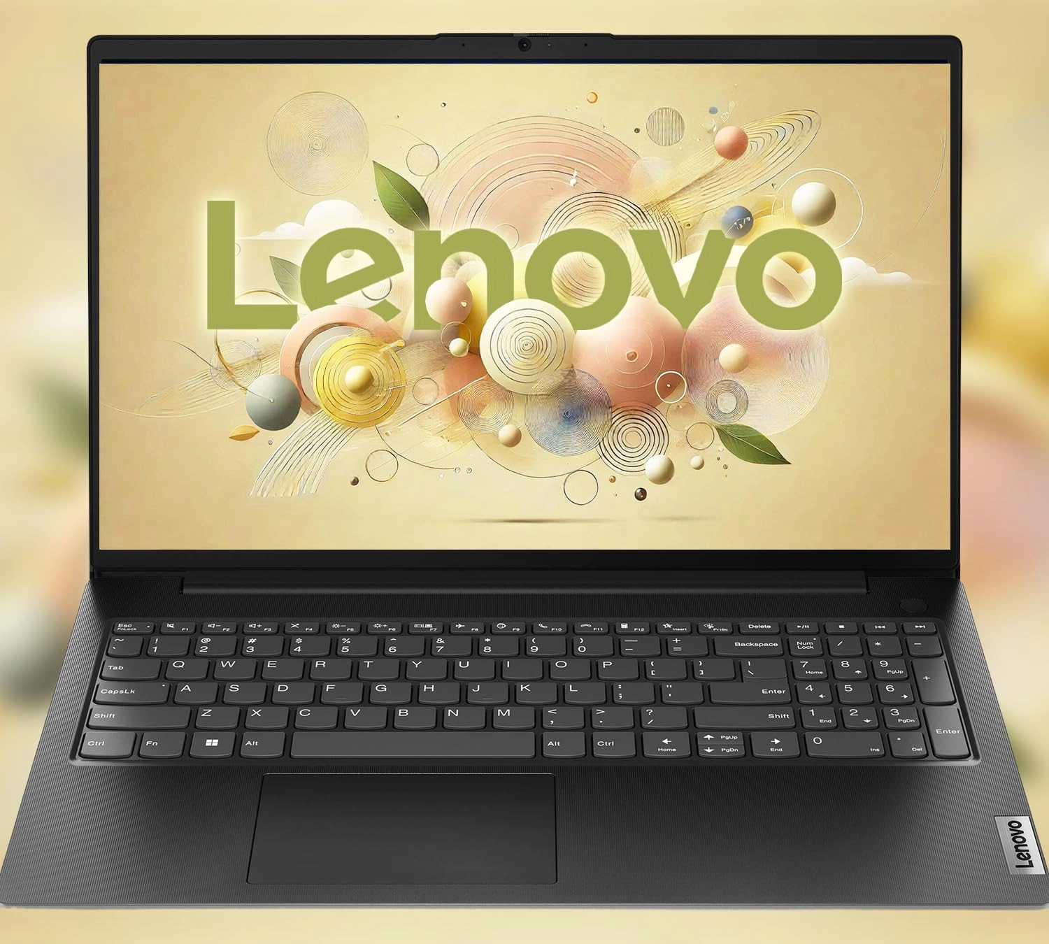 V15 - 15.6'' Celeron 16GB DDR4 1000GB SSD