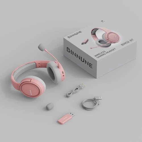BW02-BT Wireless Headset