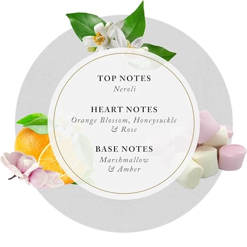 Love Don't Be Shy - Eau de Parfum 50 ml