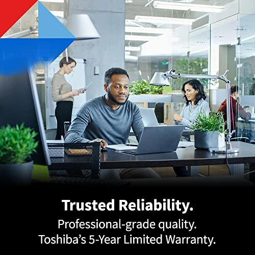 N300 PRO 24-Bay 12TB