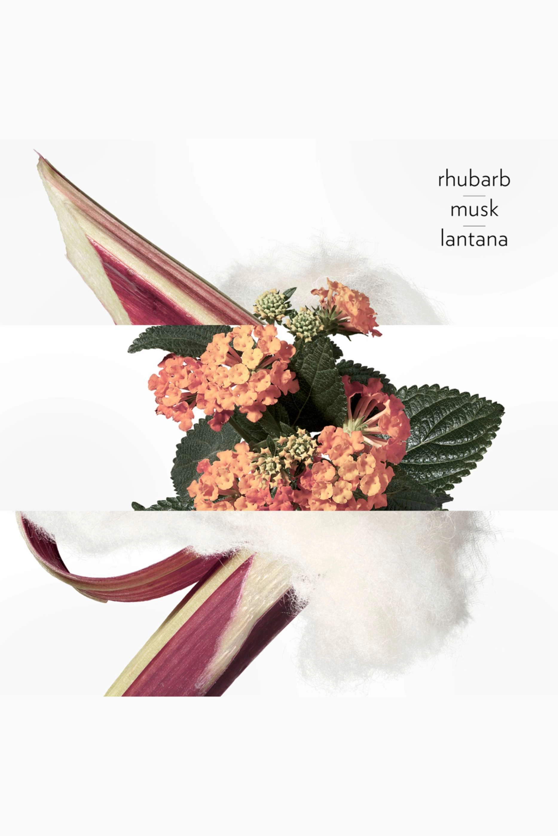 Eau de Rhubarbe écarlate - 100ml