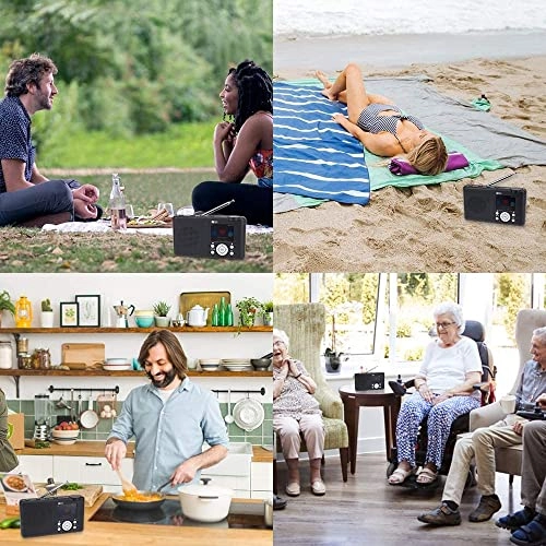 WR-23F - Portable FM Internet