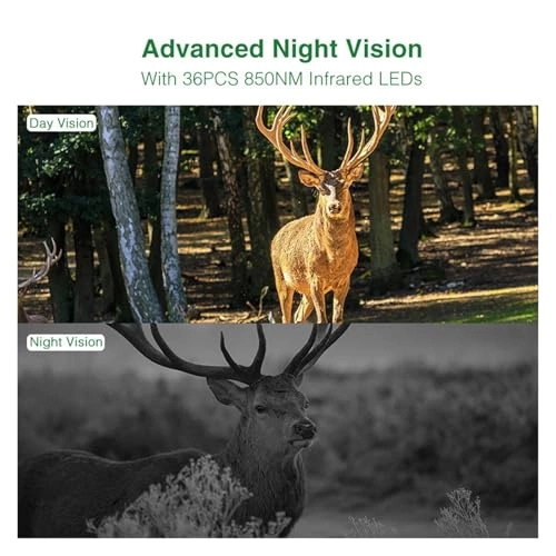 Wildlife Hunting Camera - 5MP