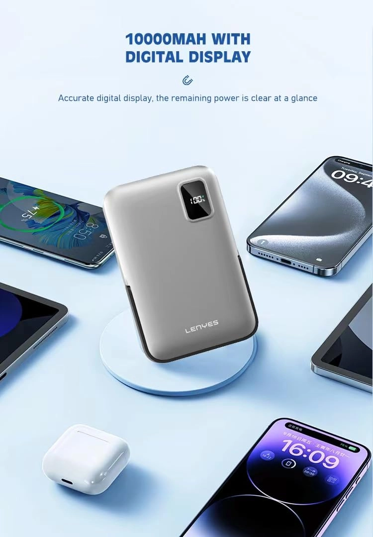 PW173D - 10,000mAh 20W