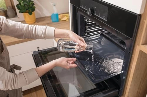 BSA6747A04BGWI Electric Oven