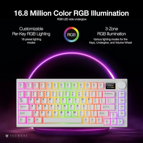 Spectre - BT USB-C 2.4 Hz