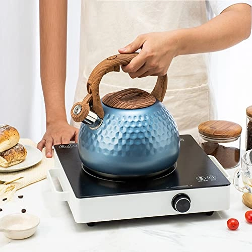 Whistling Kettle - 2.8L