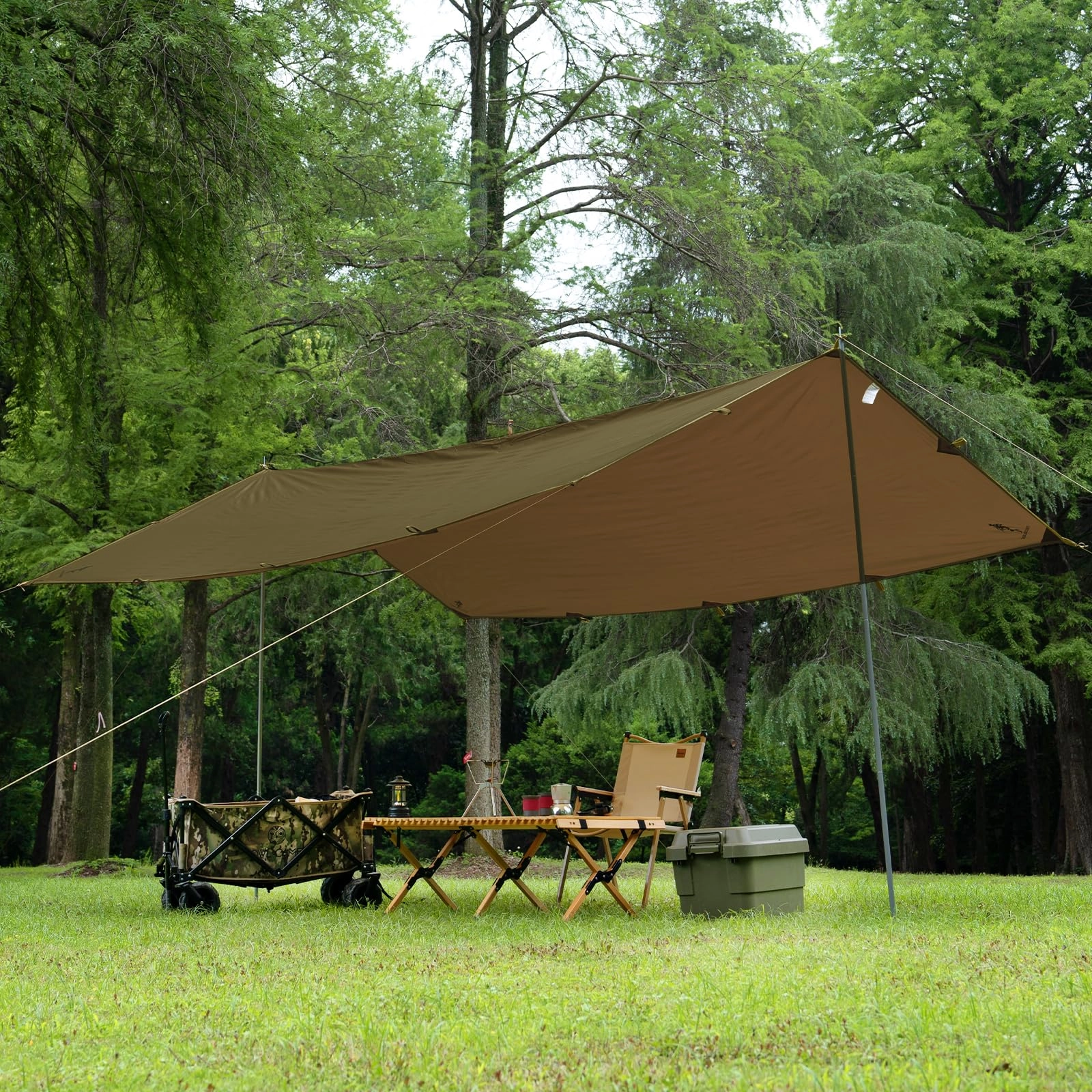 Camping Tarp
