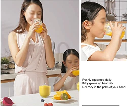 portable juicer cup - 35W 300ml