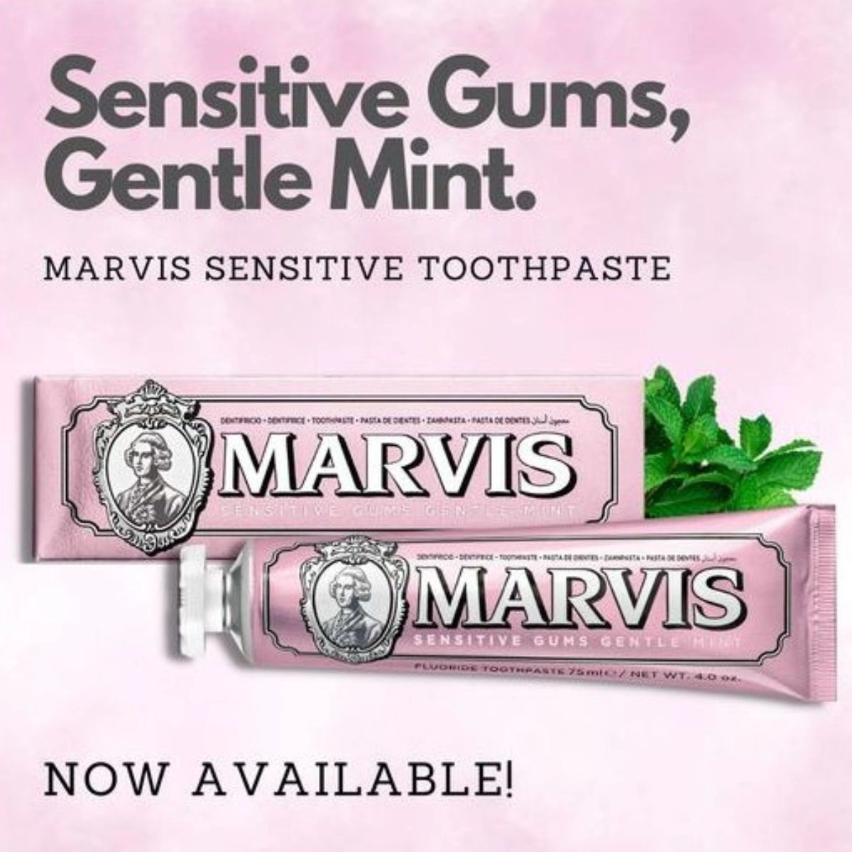 Sensitive Gums Gentle Mint Toothpaste 75ml