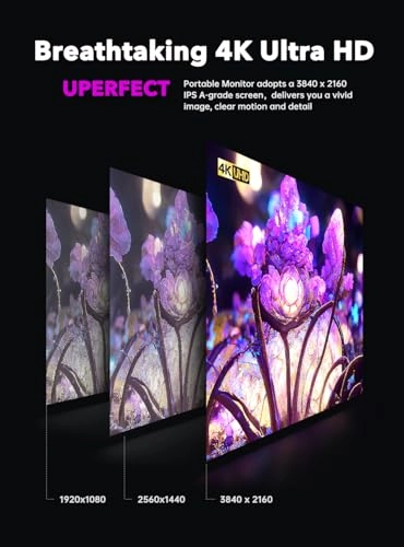 A17 - DS15607 17.3 Inches 3840 x 2160