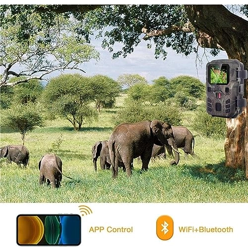 Wildlife Hunting Camera - 5MP