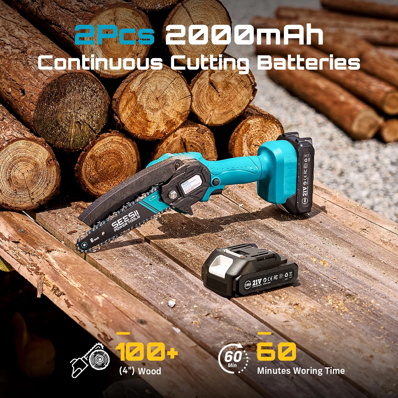 CH600+ - 900 watts