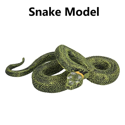 Snake Model - PVC