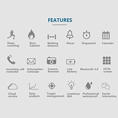 Bomcomi 47.5mm 316L Stainless Steel