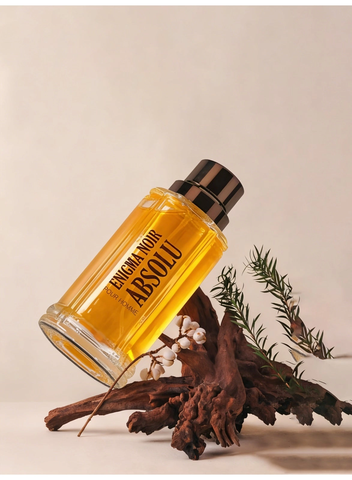 Spicy aromatic men's perfume Eau de Parfum 100ml