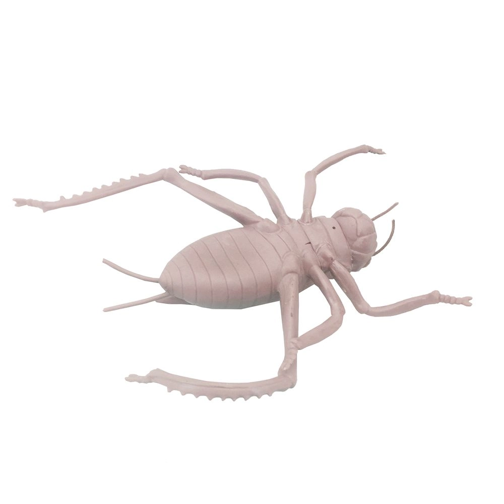 Insect World Simulation Series - Beetle (34212842-BY568_KC4)