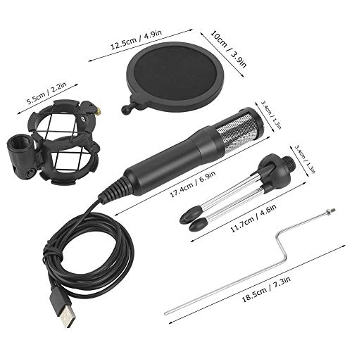 TAEKHW USB Microphone Kit