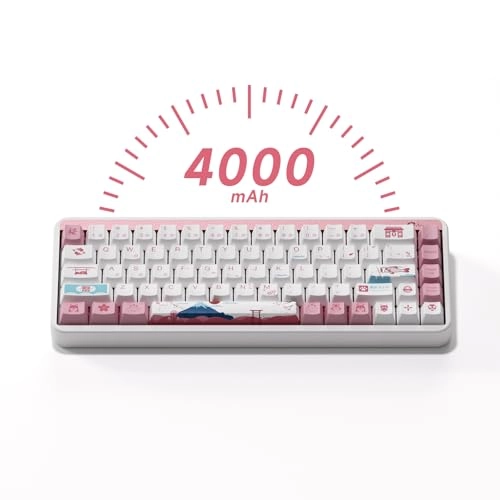 JIN01 - Wired/Wireless